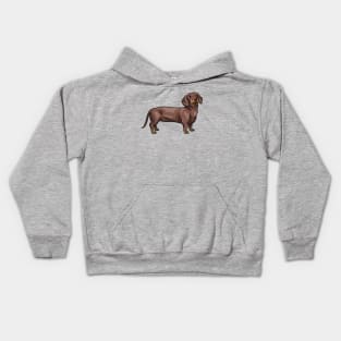 Chocolate and Tan Dachshund Dog Kids Hoodie